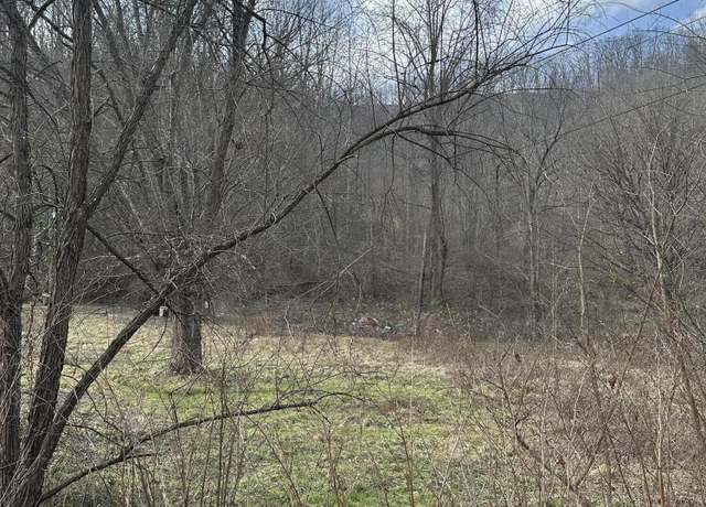 Property at 0 Ice House Branch Rd, Manchester, KY 40962