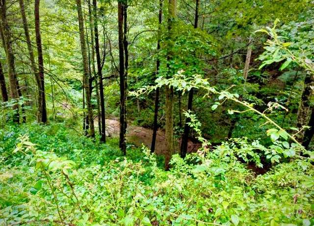 Property at 29 Paradise Dr, Rogers, KY 41365