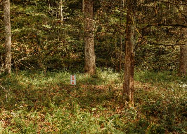 Property at TBD Lot 34 Sandy Ridge Rd, Campton, KY 41301