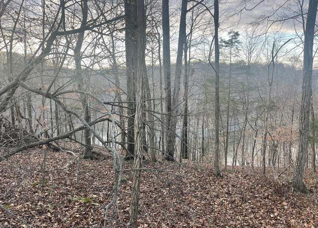 Property at Lot 82 Pleasant Vw, Nancy, KY 42544