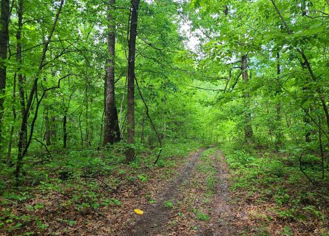Property at 690 Adams Cemetery Rd, Liberty, KY 42539