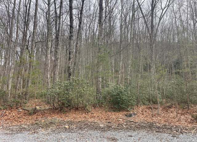Property at 0 Highway 217, Middlesboro, KY 40965