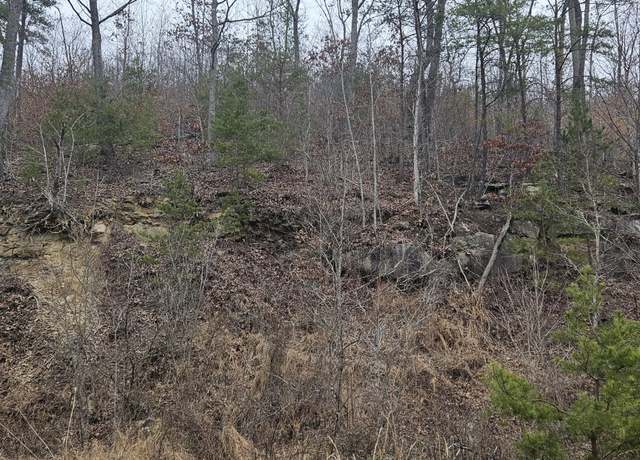 Property at 0 Trace Branch Rd, Heidrick, KY 40949