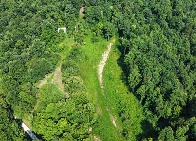 Property at 250 Plowman Dunn Rd, Irvine, KY 40336