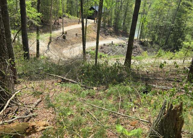 Property at 000 Wolfe Lake rd Rd, KY 41301