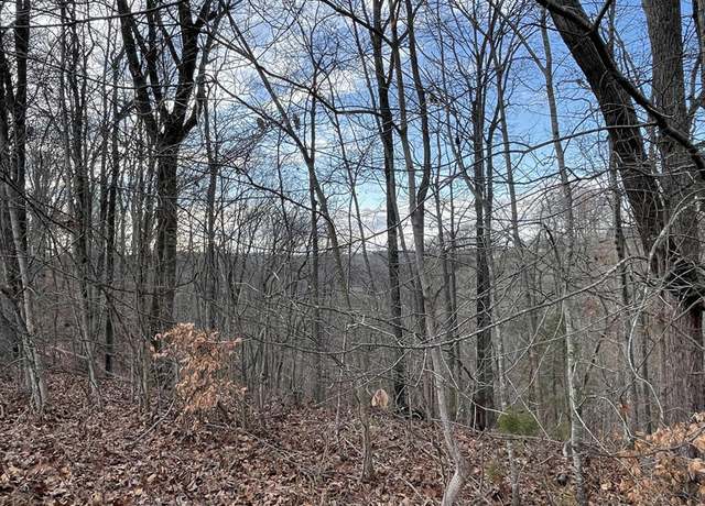 Property at Lot 14 The Village at Laurelwood, Nancy, KY 42544