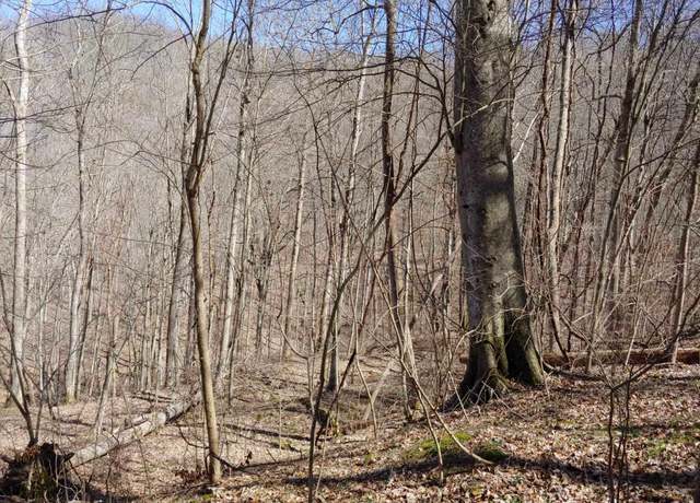 Property at 0 Birch Hollow Rd Unit 15 Phase 2, Stanton, KY 40380