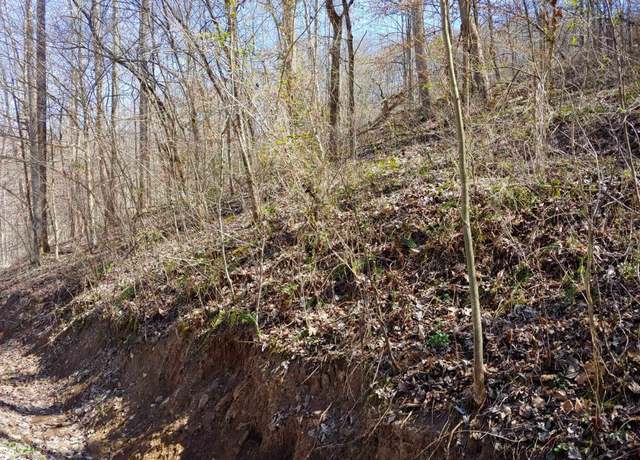 Property at 0 Birch Hollow Rd Unit 9 Phase 2, Stanton, KY 40380