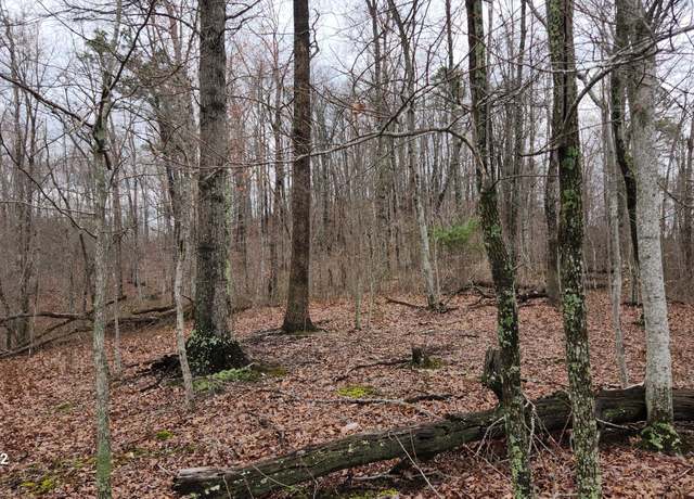 Property at 3504 East Fork Rd, Means, KY 40346