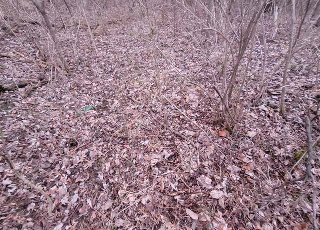 Property at 4-1 Lot 9,10, Corinth, KY 41010