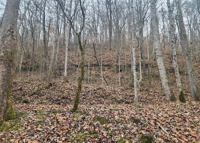 Property at 00 Stumbo Subdivision, Prestonsburg, KY 41653