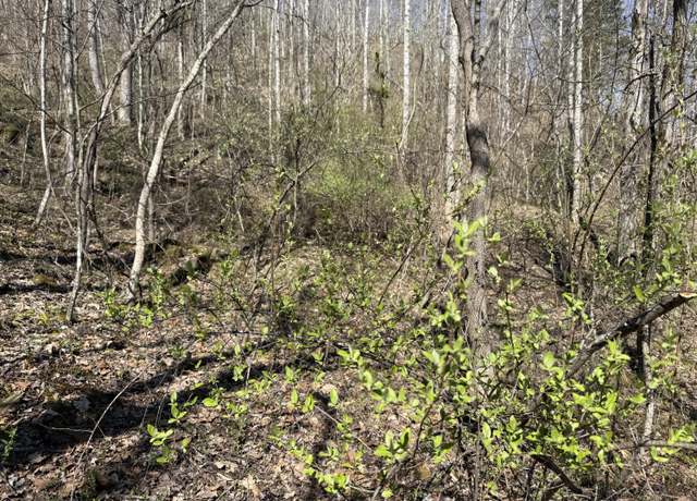 Property at 10289 Kentucky 40, Van Lear, KY 41265