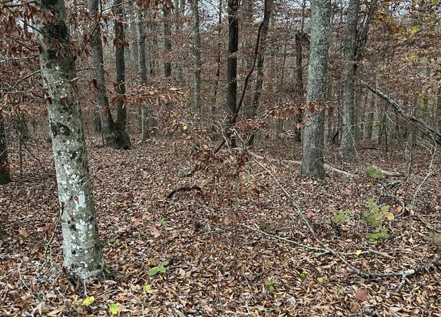 Property at Lot 26 Peach Tree Ln, Russell Springs, KY 42642