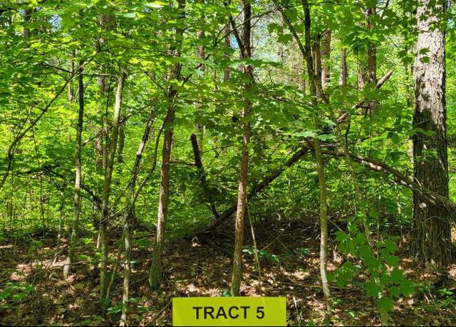 Property at 4000 Hazel Patch Rd, East Bernstadt, KY 40729