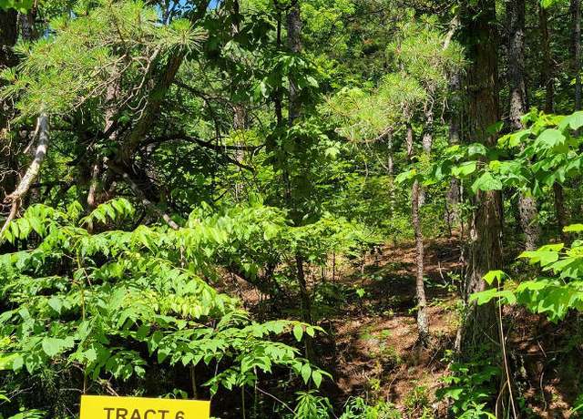 Property at 3900 Hazel Patch Rd, East Bernstadt, KY 40729