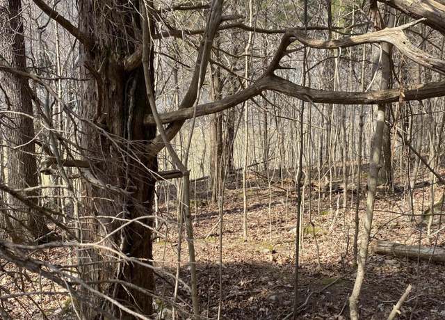 Property at Lot 19 North Fork Rd, Burnside, KY 42519