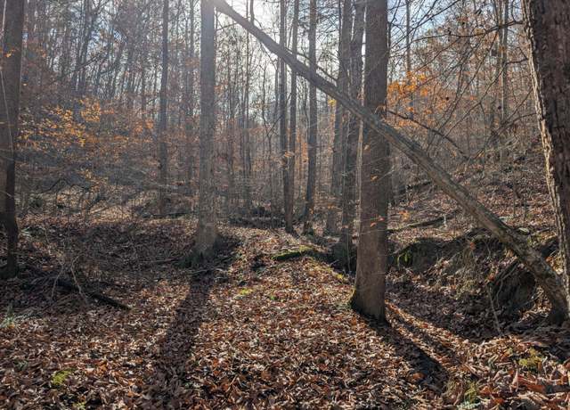 Property at 0 Hatton Creek Rd, Stanton, KY 40380