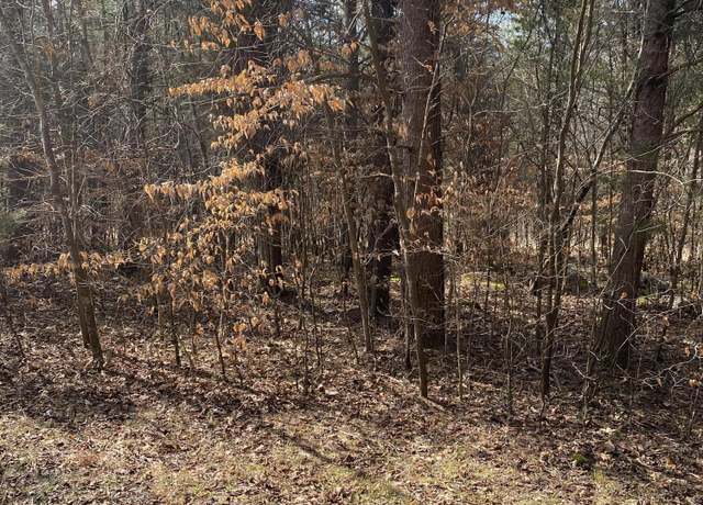 Property at Lot 20 North Fork Rd, Burnside, KY 42519