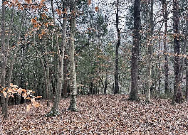 Property at Lot 189 Stillwater, Russell Springs, KY 42642