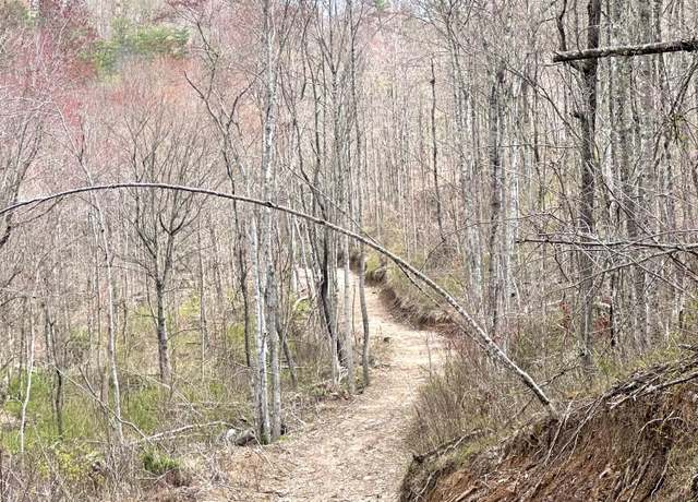 Property at 1105 Pendleton Branch Rd, Salt Lick, KY 40371