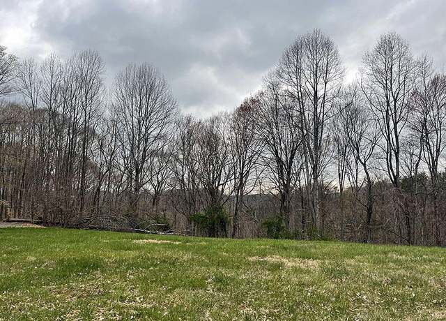 Property at Lot 91 Stillwater, Russell Springs, KY 42642