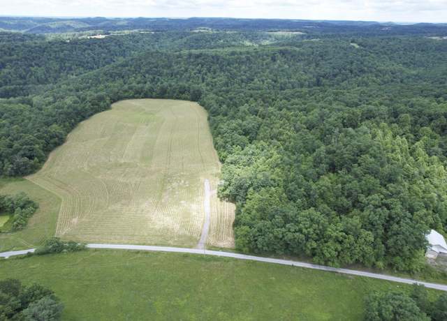 Property at TBD Mcroberts Rd, Wallingford, KY 41093