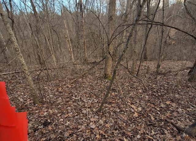 Property at 5-2 Lots 13,14,15,16, Corinth, KY 41010