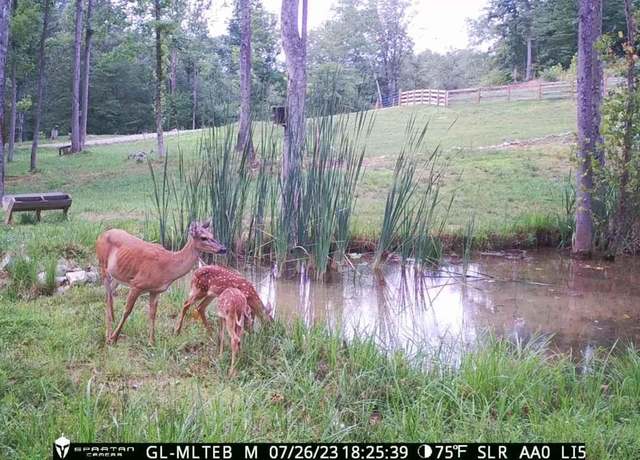 Property at 295 Falls Creek Way, Somerset, KY 42503