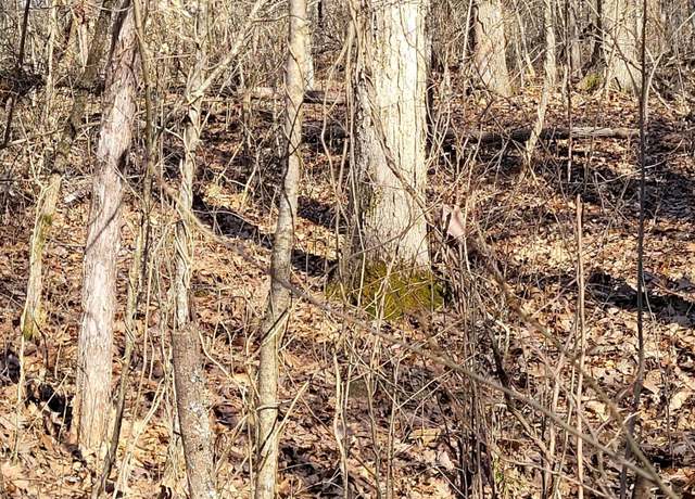 Property at 5-3 Lots 7,8,9,10, Corinth, KY 41010