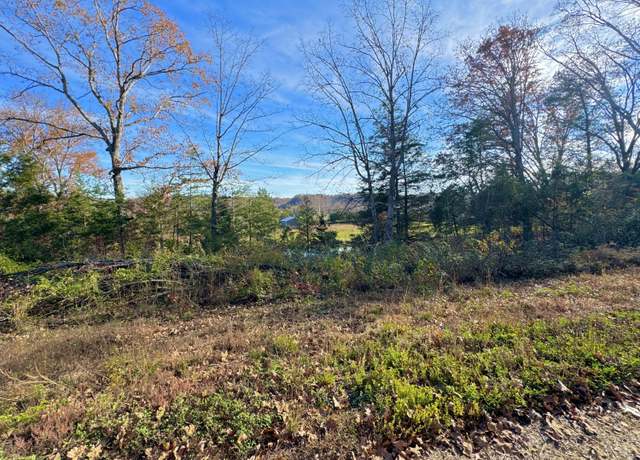 Property at 9108 S Ky-501 Hwy, Liberty, KY 42539