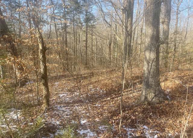 Property at Lot 2 Cumberland Shrs, Monticello, KY 42633