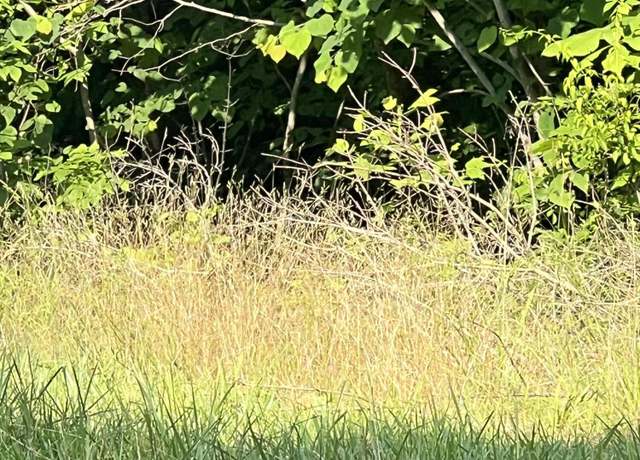 Property at 9999 Hwy 2004, Mckee, KY 40447