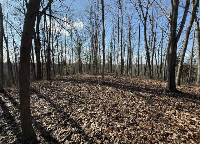 Property at 191 The Reserve At Cliffview, Zoe, KY 41397