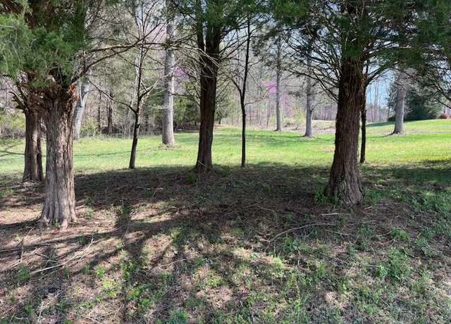 Property at 2,3,4 Long Hollow Acres, Burkesville, KY 42717