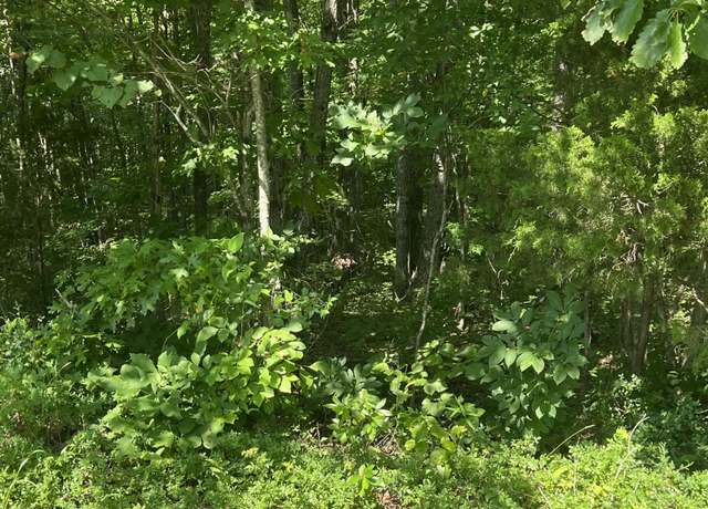Property at 1111 Hwy 3285, Monticello, KY 42633