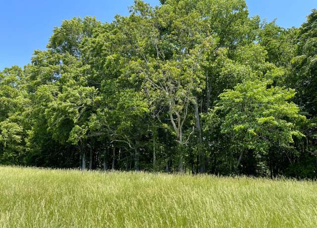 Property at 77 Meadows Loop, Russell Springs, KY 42642