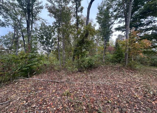 Property at 51 Dale Hollow Shrs, Celina, TN 38551
