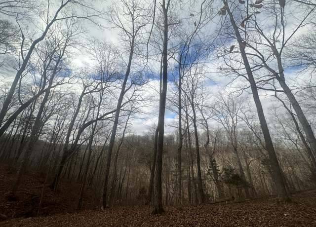 Property at Lot 12 The Village at Laurelwood, Nancy, KY 42544