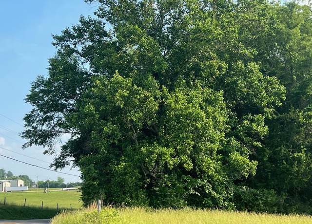 Property at Undisclosed address, Somerset, KY 42503