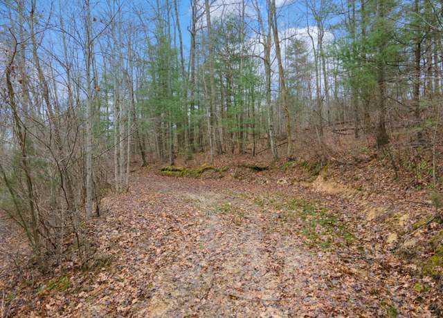 Property at 1537 High Rock Rd, Stanton, KY 40380