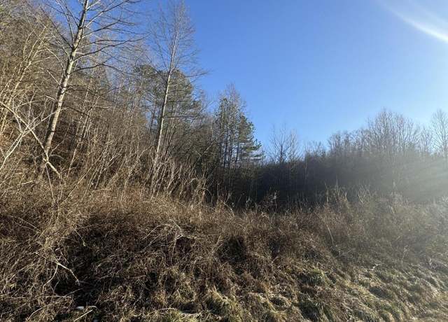 Property at 9999 Crawfish Rd, Manchester, KY 40962