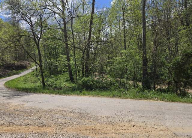 Property at 0 Hale Ridge Rd, Beattyville, KY 41311