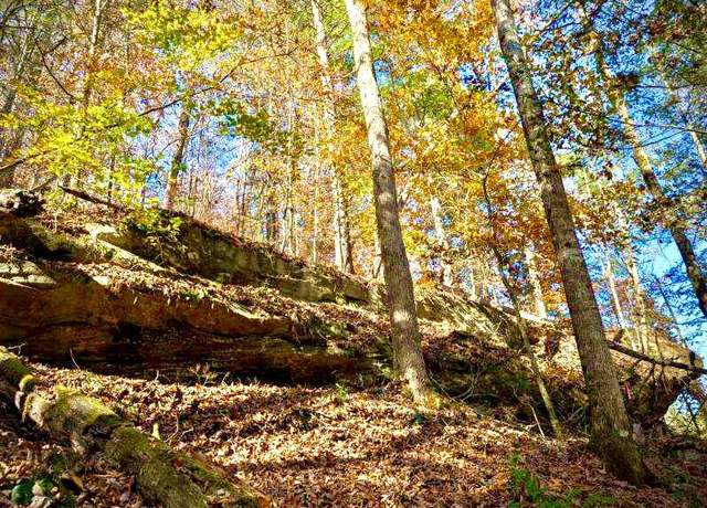 Property at #29A Paradise Dr, Rogers, KY 41365