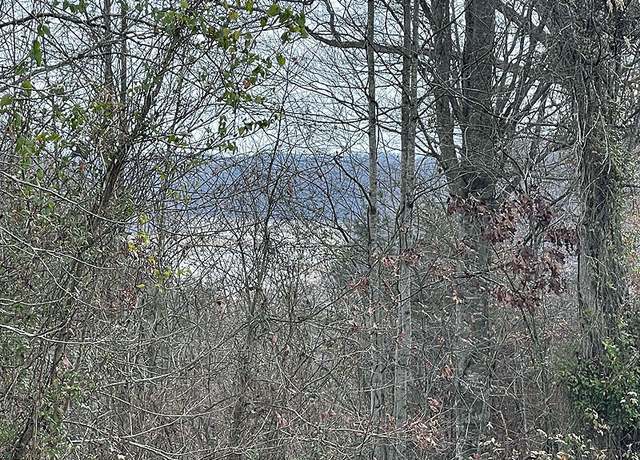 Property at Lot 138 Stillwater, Russell Springs, KY 42642