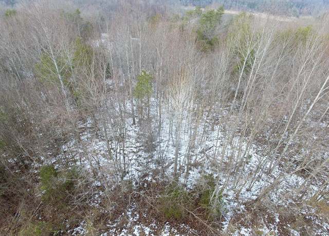 Property at Lot 51 Shepperd, Nancy, KY 42544