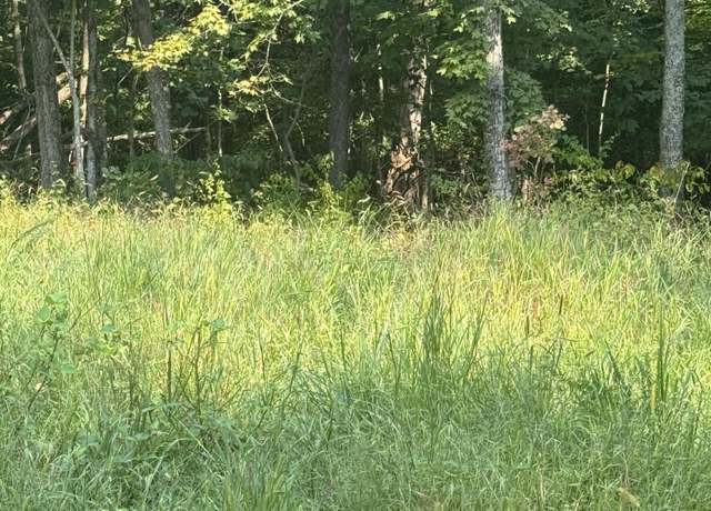 Property at 1000 Hidden Acres, Mt Olivet, KY 41064