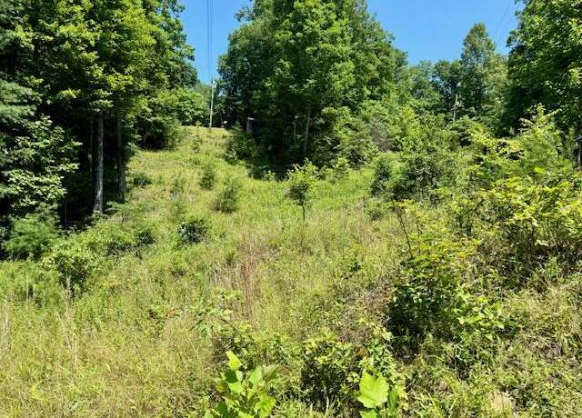 Property at Lot#141 Peaceful Valley Rec Retreat, Beattyville, KY 41311