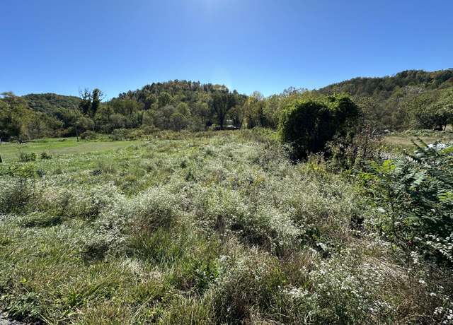 Property at 0 Lick Creek Rd, Salyersville, KY 41465