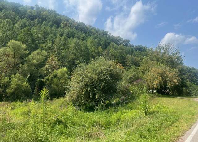 Property at 00 Kentucky Rte 3385, Prestonsburg, KY 41653