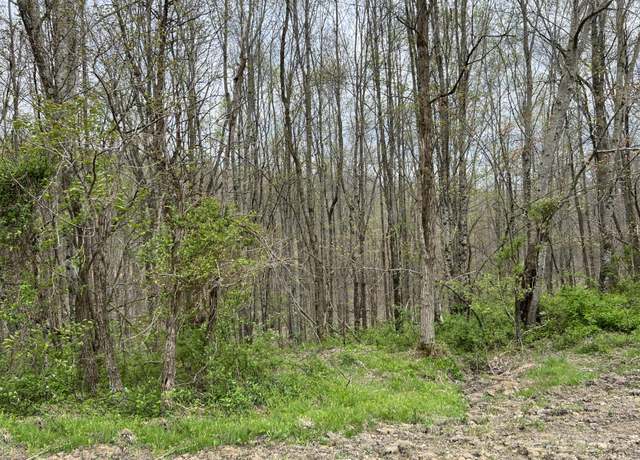 Property at Lot #46 Laredo Dr, London, KY 40741